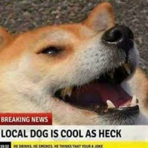 Make me an offer! 💜